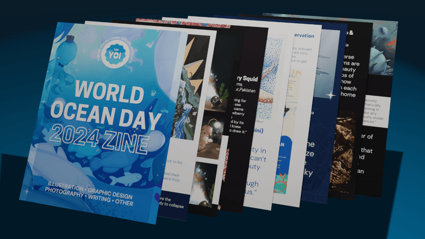 World Ocean Day 2024 Zine